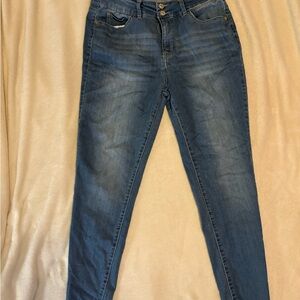Wallflower Denim Blue Skinny Jeans